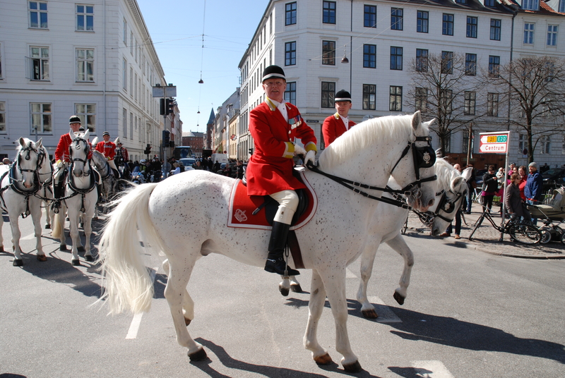 Hester og ryttere i København