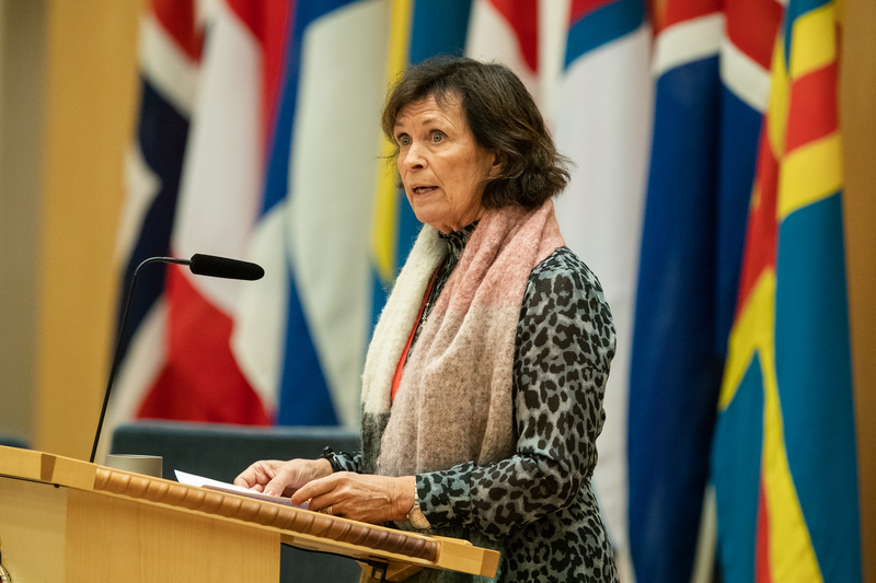 Bente Stein Mathisen er ordførende i udvalget for Velfærd i Norden. Billedet er fra Nordisk Råd session 2019 i Stockholm. 