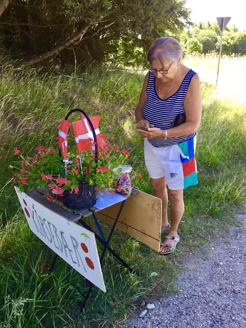 Travelling around in Denmark at summer time is amazing; the farmers put their products for sale by the road, but no persons can be seen. You just pay by putting the money in a box, or send it over mobile phone. That is trust on a deep level!