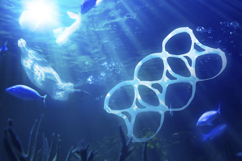 Plastic Change