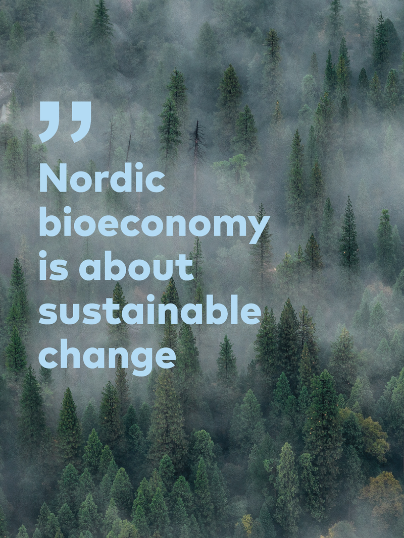 Nordic Bioeconomy Programme