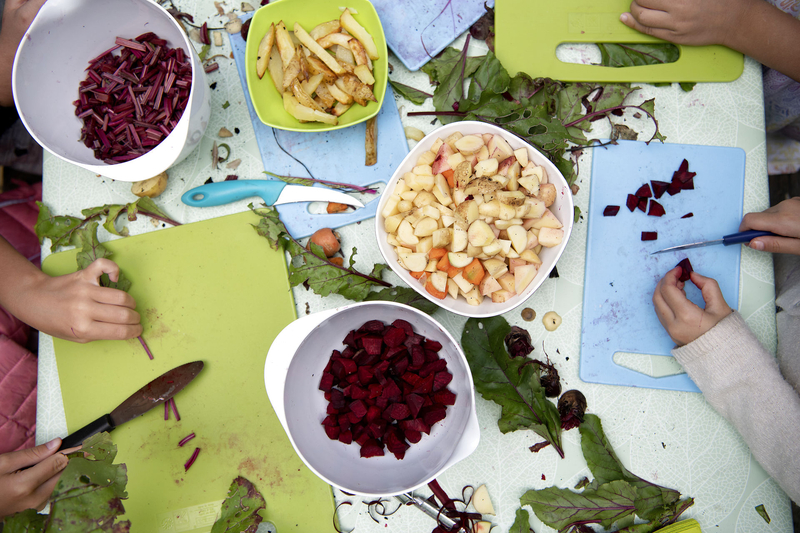 Insight Papers_Nordic Food Systems Transformation