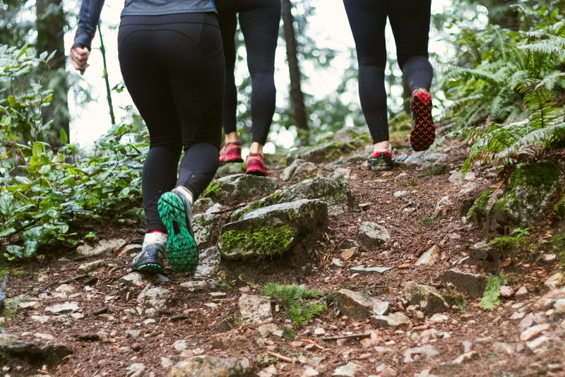 People walking in forest