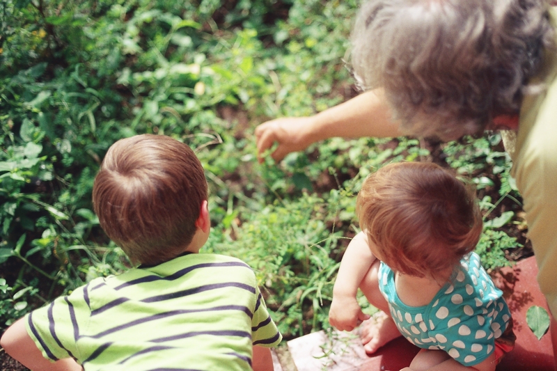 A parret with two children looking at plants 