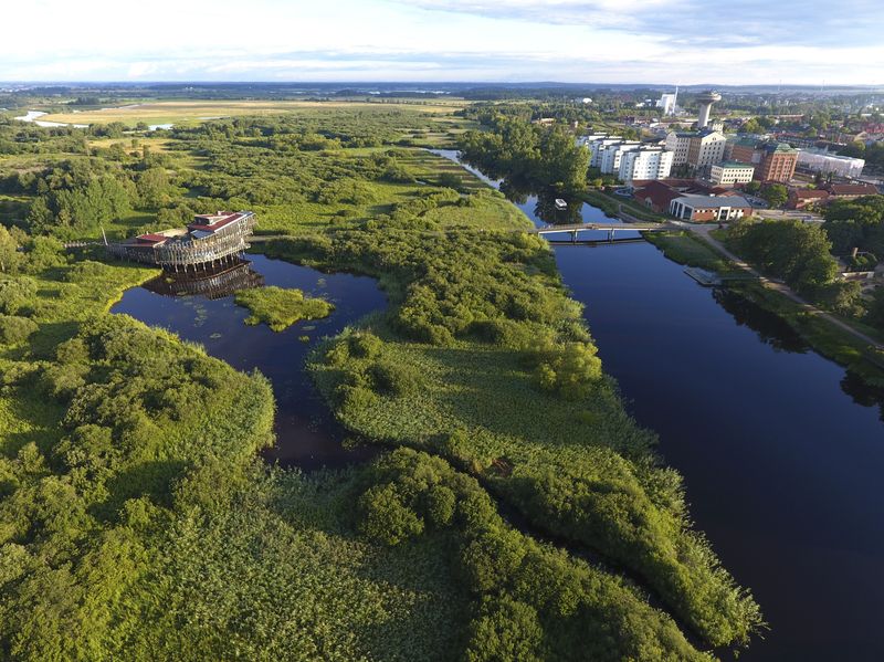 Svensk vådområde set fra luften