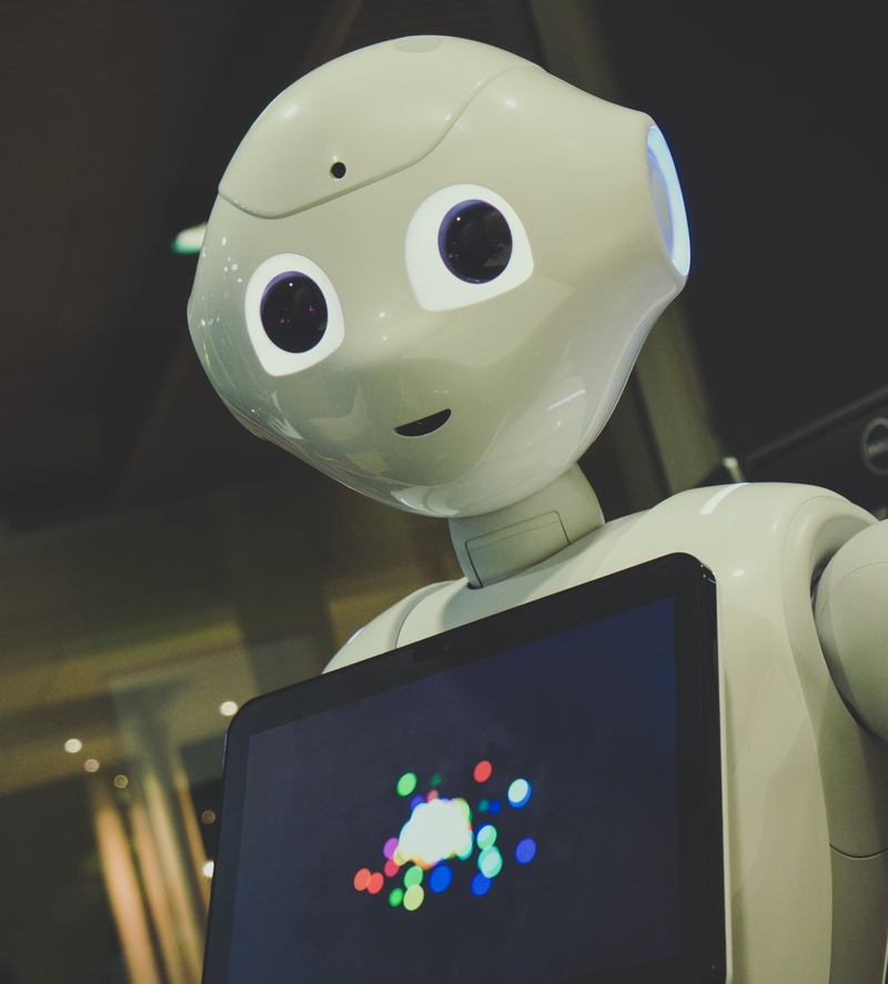 Robot