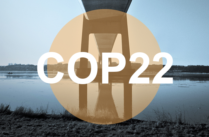 COP22 Banner