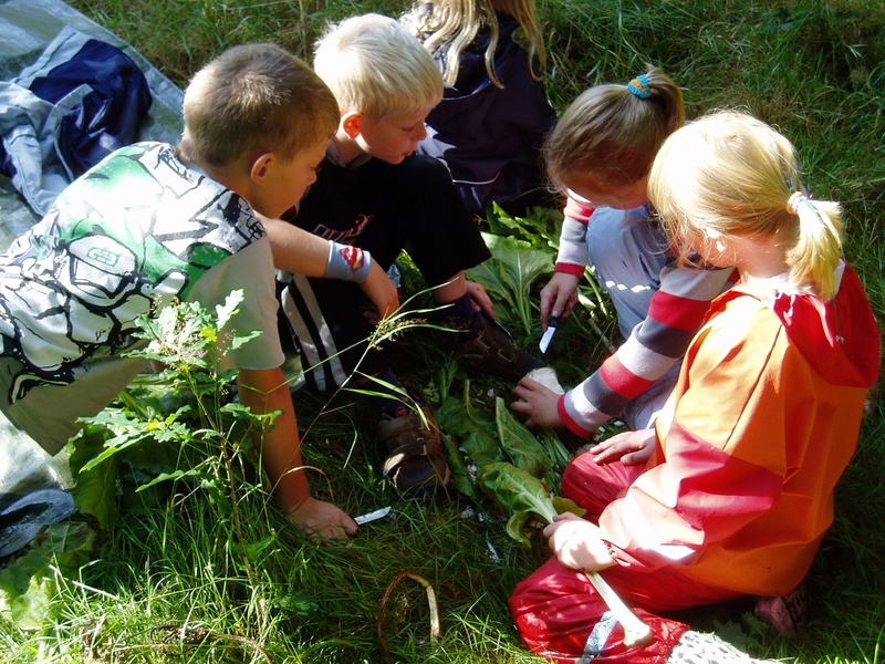 Skoven i Skolen (Danmark)