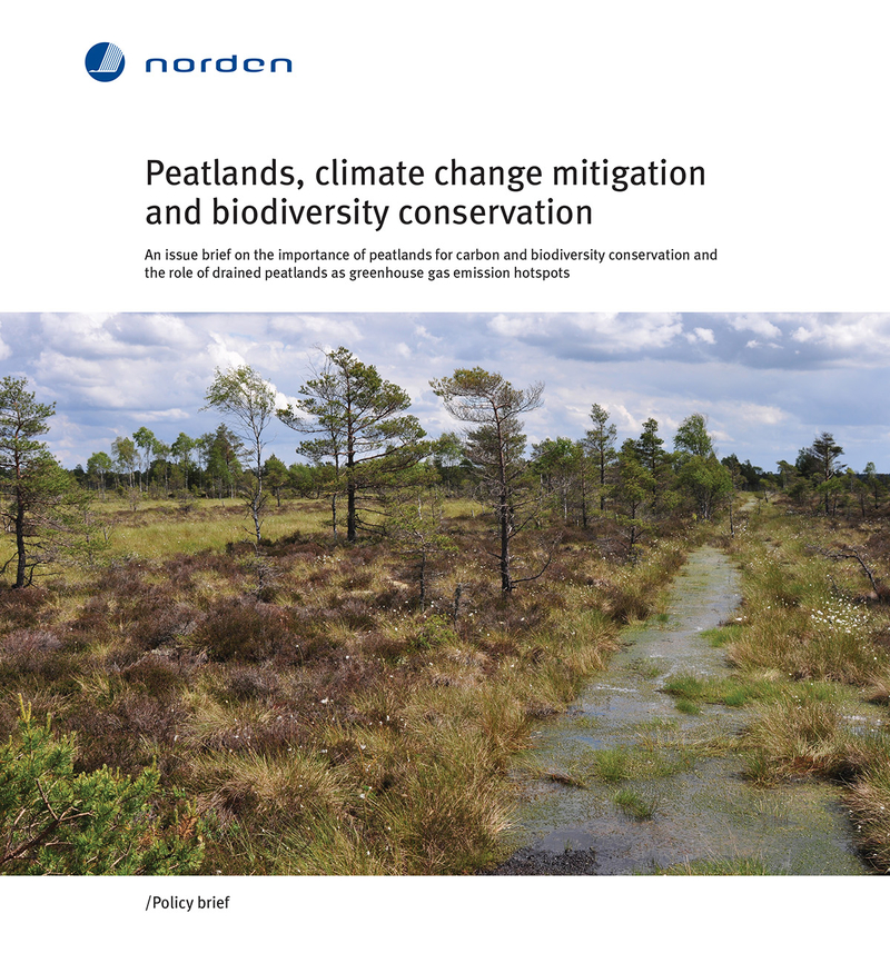 Unlocking the Hidden Power of Peatlands in Climate Change Mitigation