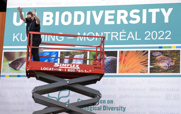 Norden er på plass på  FN-toppmøtet om biologisk mangfold, COP15