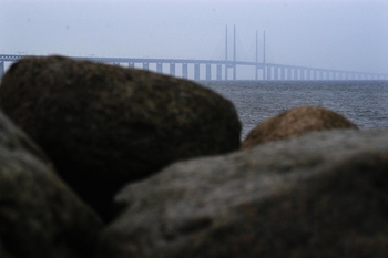 Uttalande om behovet av initiativ för att minska de sociala och kulturella konsekvenserna av gränsstängningarna för medborgarna i Norden