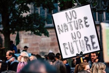 plakat med texten, No nature, no future