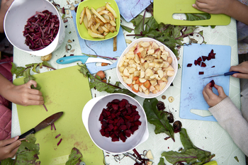 Insight Papers_Nordic Food Systems Transformation