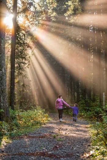 miljøpris 2025 temafoto