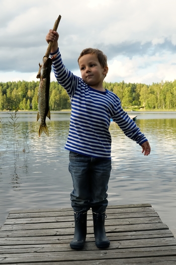 Barn holder fisk