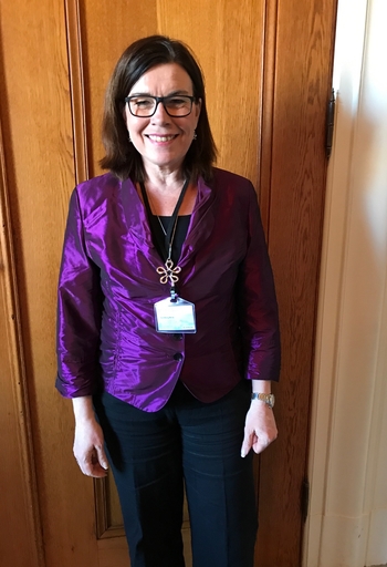 Britt Lundberg på temasessionen i Stockholm, 4 april 2017