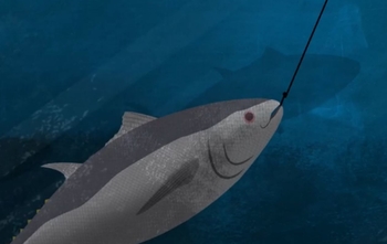 Fish crime